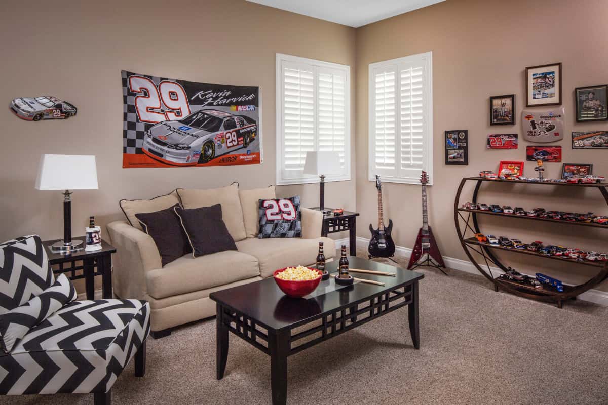 Washington DC man cave with shutters